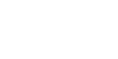 The University of Chicago